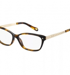 Fossil Frame FOS 6016