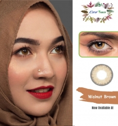 EGO Forest Walnut Brown Contact Lens